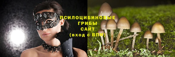 гашик Баксан