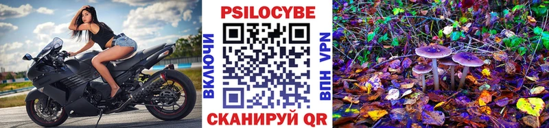 купить   Новоуральск  кракен вход  Галлюциногенные грибы ЛСД 